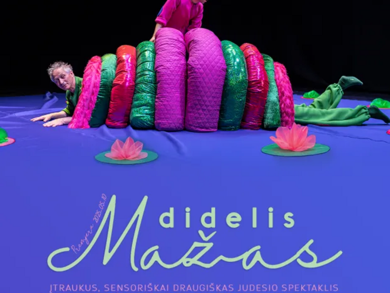 „DIDELIS MAŽAS“