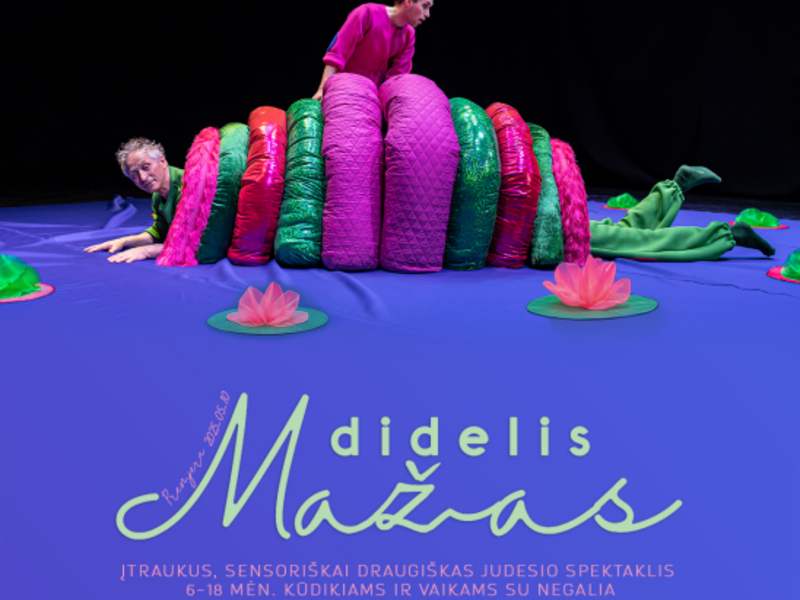 „DIDELIS MAŽAS“