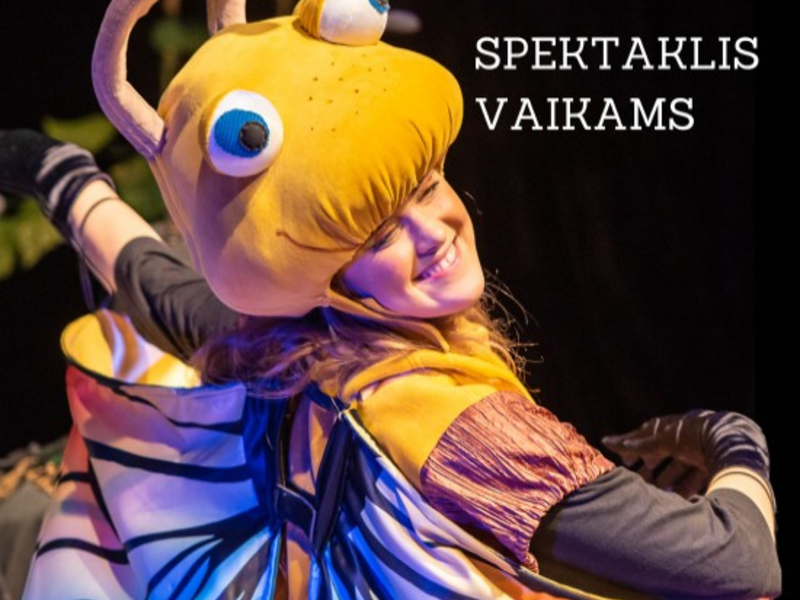 Skruzdėliuko nuotykiai