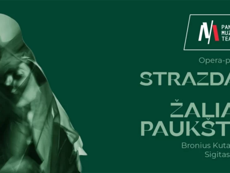 „STRAZDAS – ŽALIAS PAUKŠTIS“