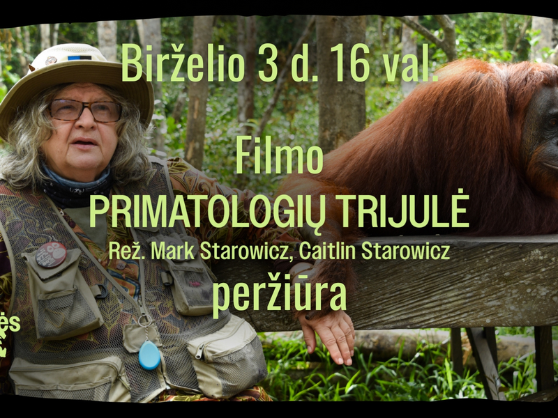 SENGIRĖS KINAS: „Primatologių trijulė“