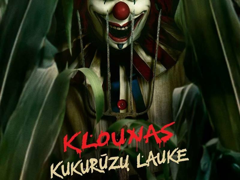 KLOUNAS KUKURŪZŲ LAUKE