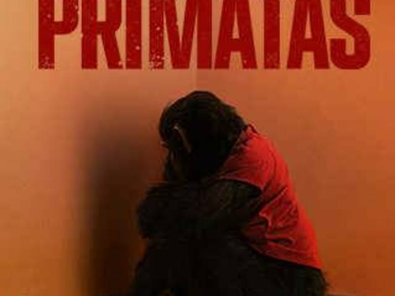 PRIMATAS