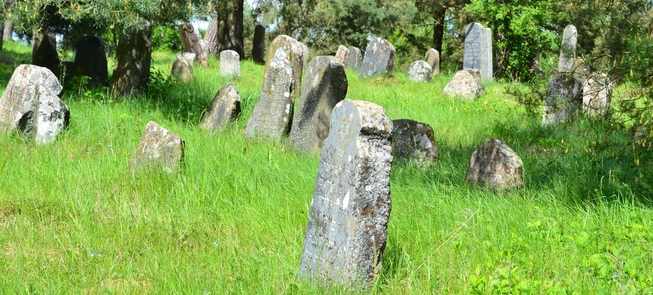 Stary cmentarz żydowski w Butrimonii