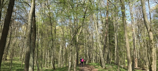 Rezerwat botaniczny Vidzgiris