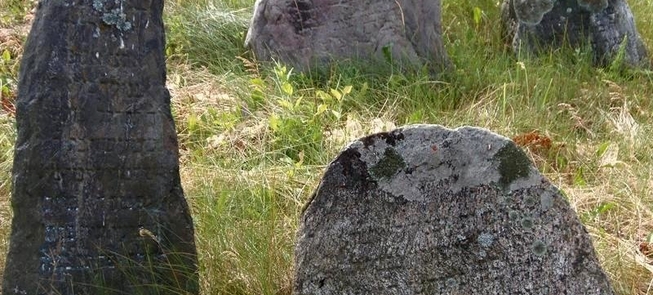 Stary cmentarz żydowski w Mirosławiu