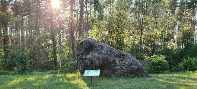 Wielki Kamień Dzukii