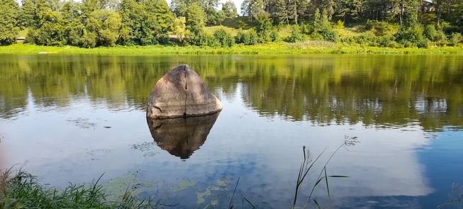 Kamień kapłański w Niemnie koło Nemunaitis