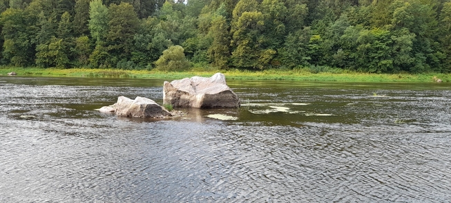 Kamień kapłański w Niemnie koło Olity