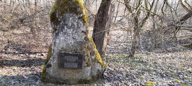 Stary cmentarz żydowski w Puni
