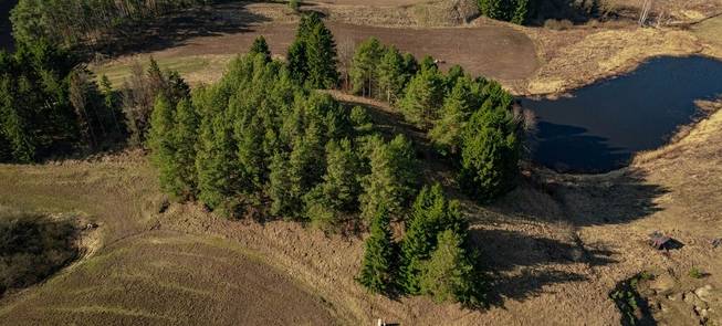 Žemaitėlių piliakalnis