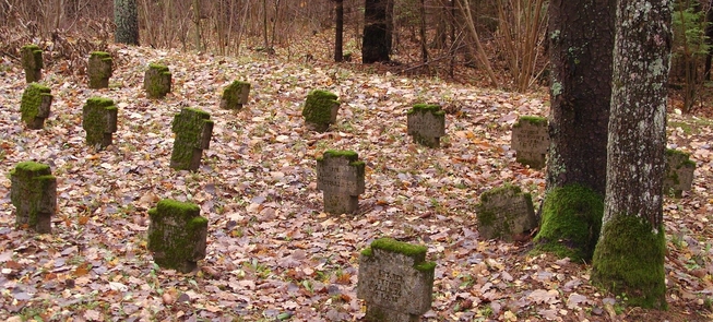 Cmentarz żołnierzy niemieckich z I wojny światowej w Karliszkach
