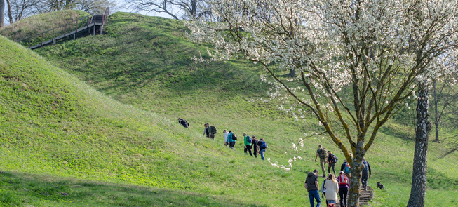 Pėsčiųjų ir dviračių takai Alytuje