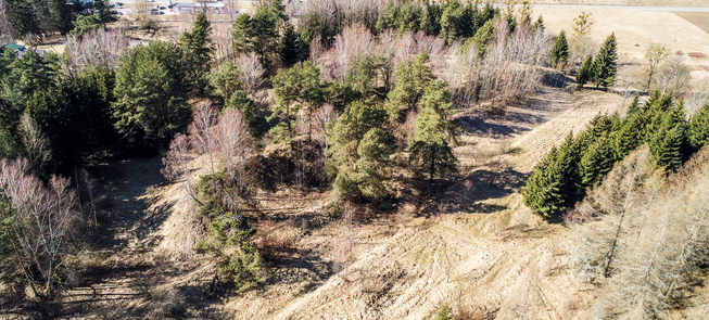 Fort IV twierdzy Alytus