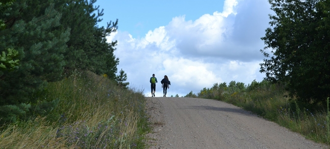 Pėsčiųjų maršrutas „Miško takas“