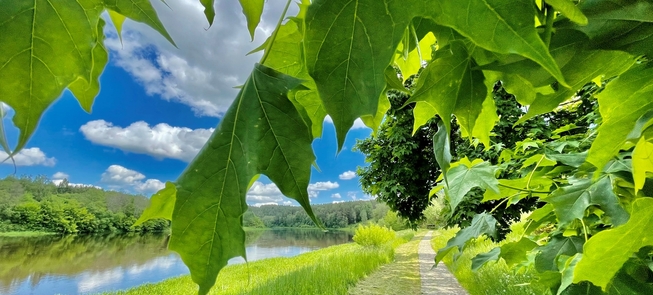 Rekreacinė zona Nemunaityje prie Nemuno