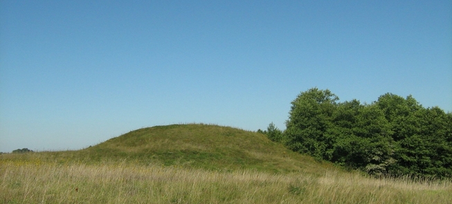 Góra zamkowa Bazorai