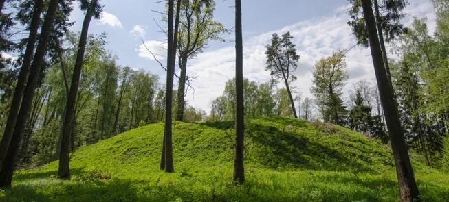 Góra zamkowa Dirmiškės