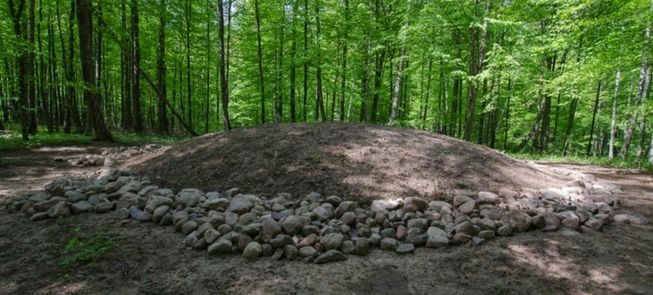 Dirmiškių pilkapynas, vad. Švedkapiais