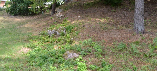 Część starego cmentarza żydowskiego w Alytusie