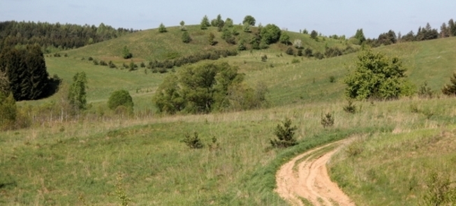 Góra zamkowa Einoronys