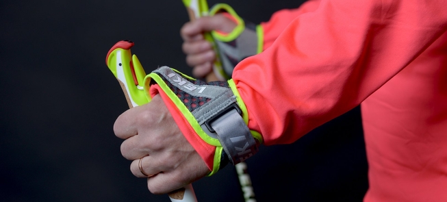 Žygiai su Alytaus šiaurietiško ėjimo klubu