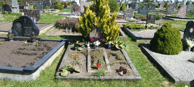 Groby żołnierzy litewskich w Mirosławiu