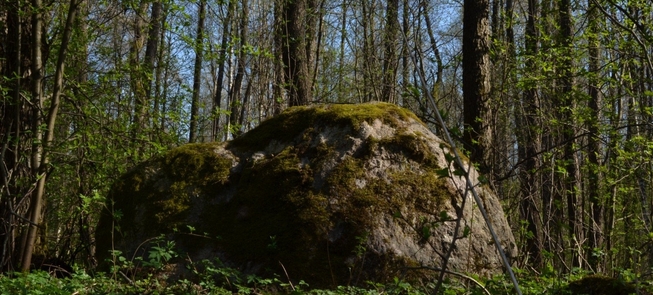 Kamień wyspiarski zwany Dziewiczym Kamieniem