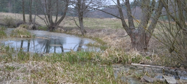 Zdrój mineralny Nemunaičio