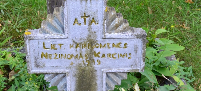 Groby żołnierzy litewskich ochotników w Alytusie