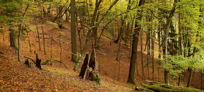 Urwisko Panemuninkų