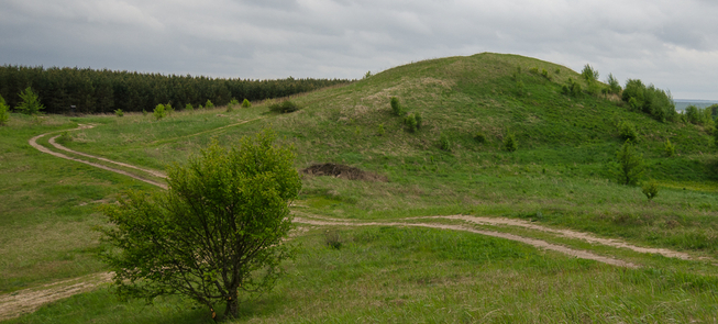 Góra zamkowa Papėčiai