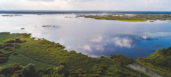 Rezerwat biosfery Žuvintas